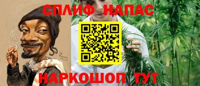индика Гай